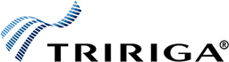 TRIRIGA - OxBlue Construction Camera