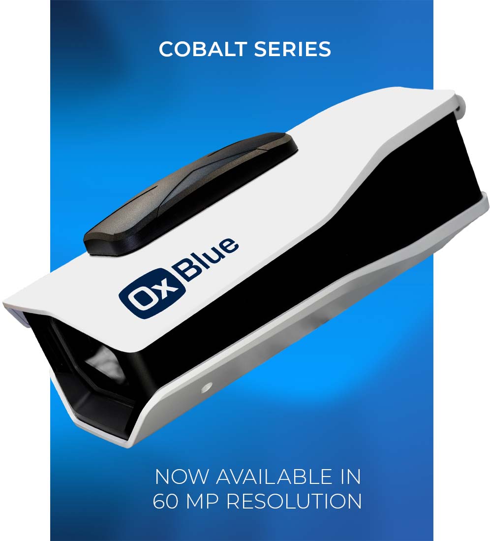 OxBlue Cobalt